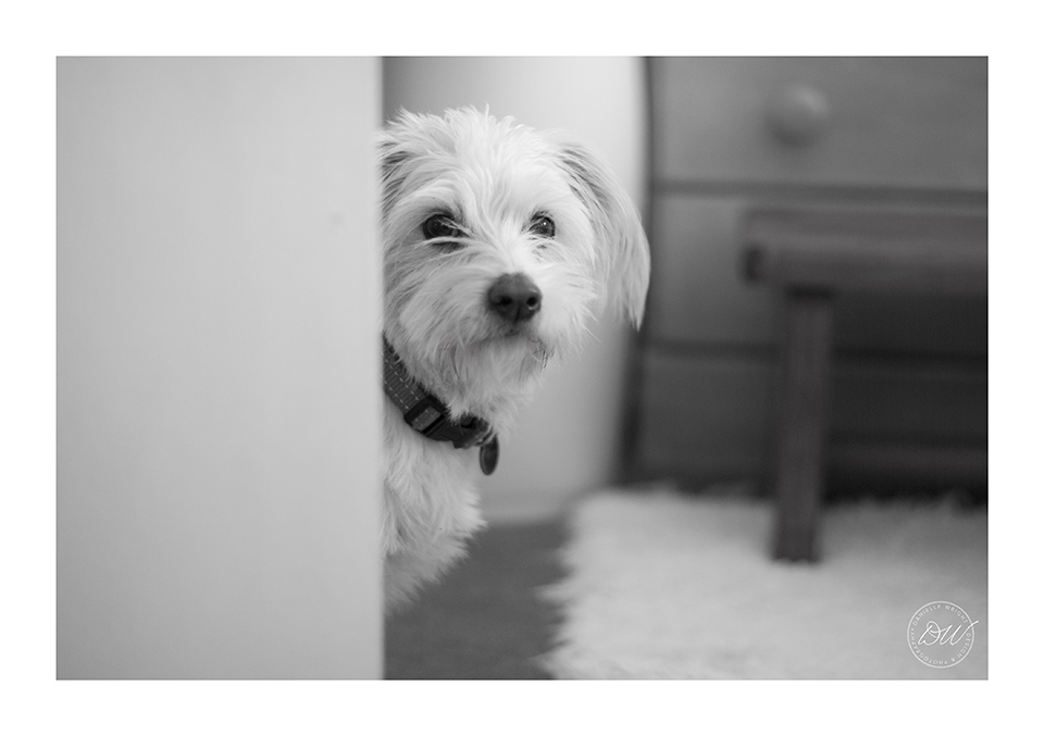 New Soul- Nicholas_02